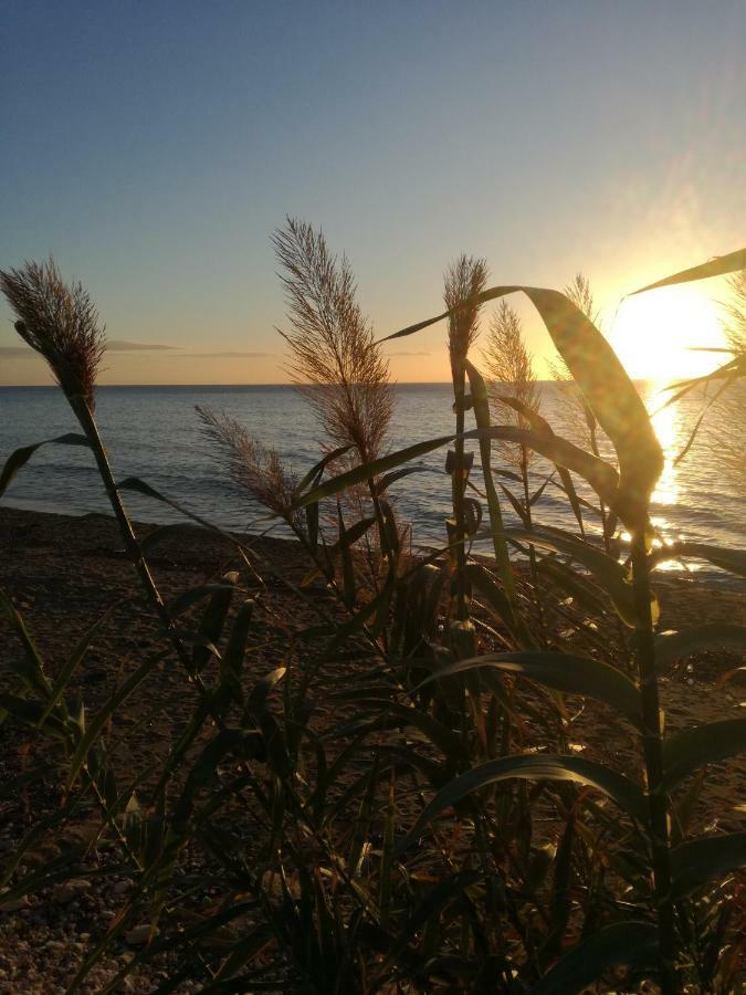 Villa Teocrito Piscina & Mare Avola Εξωτερικό φωτογραφία